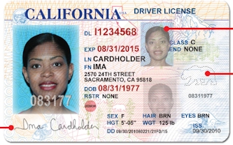 Driver License Apostille